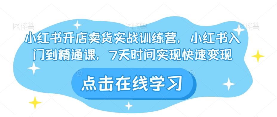 小红书开店卖货实战训练营，小红书入门到精通课，7天时间实现快速变现-网创
