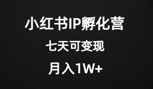 价值2000+的小红书IP孵化营项目，超级大蓝海，七天即可开始变现，稳定月入1W+-网创