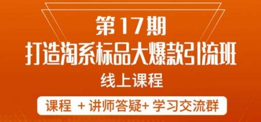南掌柜-第17期打造淘系标品大爆款，5天线上课-网创