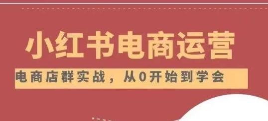 小红书店铺运营从小白到大神2.0，从入门到精通-网创