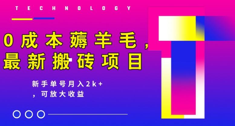 0成本薅羊毛，最新搬砖项目，新手单号月入2k+，可放大操作-网创