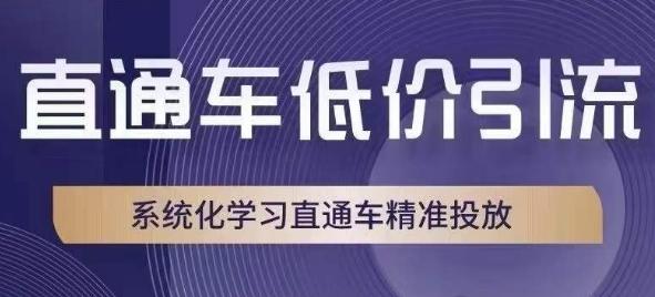 直通车低价引流课，系统化学习直通车精准投放-网创