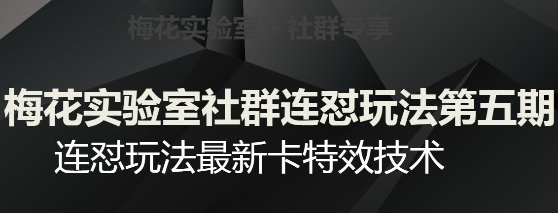 梅花实验室社群连怼玩法第五期，视频号连怼玩法最新卡特效技术-网创