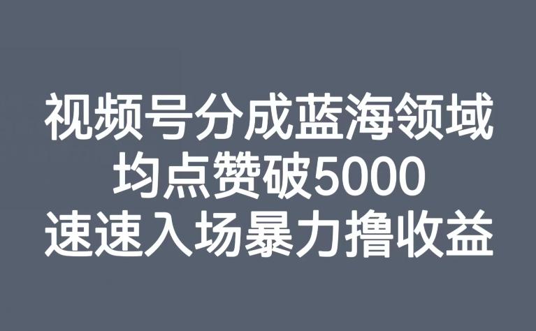 视频号分成蓝海领域，均点赞破5000，速速入场暴力撸收益-网创