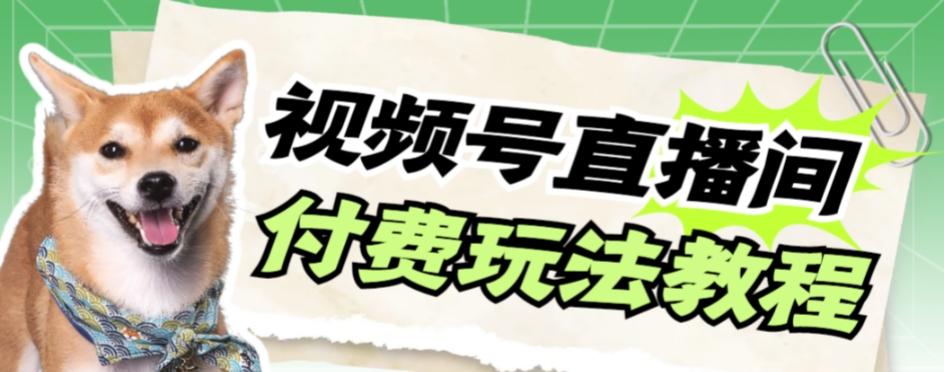 视频号美女付费无人直播，轻松日入500+【详细玩法教程】-网创