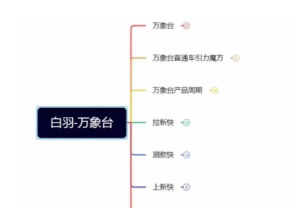 白羽·直引万搜索全篇，从0-1，多个类目实操经验总结付费-网创