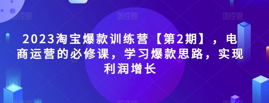 2023淘宝爆款训练营【第2期】，电商运营的必修课，学习爆款思路，实现利润增长-网创
