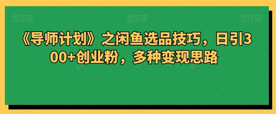 《导师计划》之闲鱼选品技巧，日引300+创业粉，多种变现思路-网创