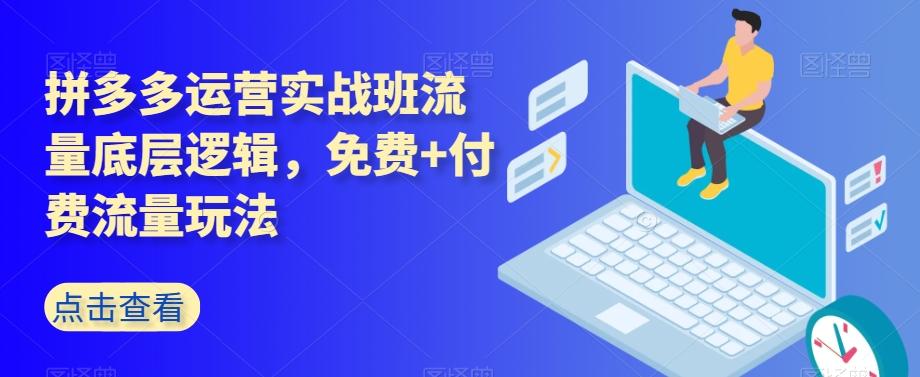 拼多多运营实战班流量底层逻辑，免费+付费流量玩法-网创