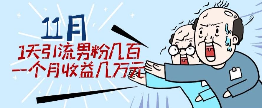 11月最新每天引流男粉300+一个月收益几万元-网创