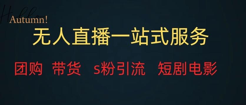 无人直播一站式服务（教程以及变现方式）-网创