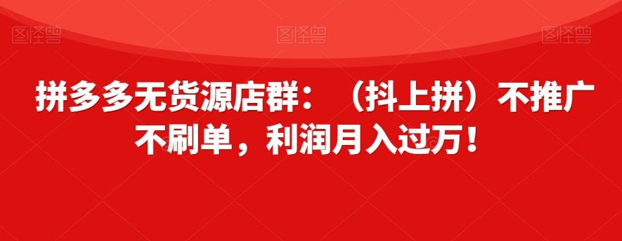 拼多多无货源店群：（抖上拼）不推广不刷单，利润月入过万！【揭秘】-网创