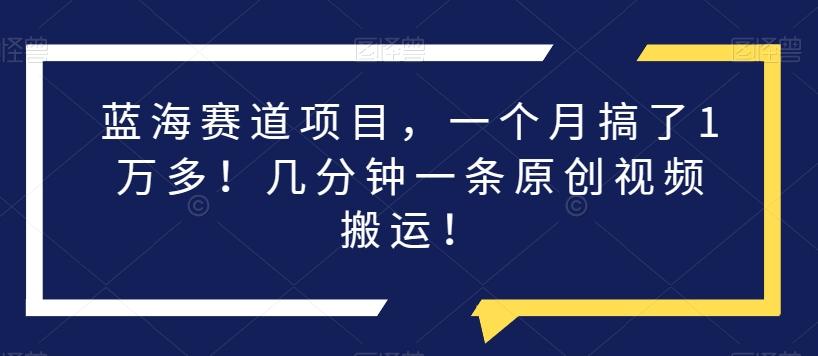 蓝海赛道项目，一个月搞了1万多！几分钟一条原创视频搬运！-网创