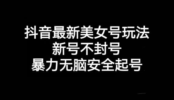 抖音最新美女号玩法，新号不封号，暴力无脑安全起号【揭秘】-网创