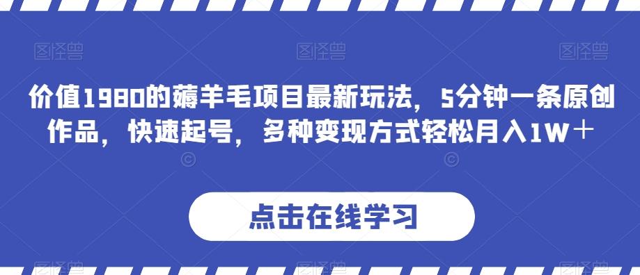 价值1980的薅羊毛项目最新玩法，5分钟一条原创作品，快速起号，多种变现方式轻松月入1W＋【揭秘】-网创