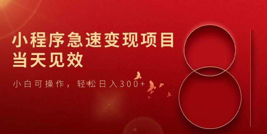 小程序急速变现项目，当天见效，小白可操作，轻松日入300+-网创