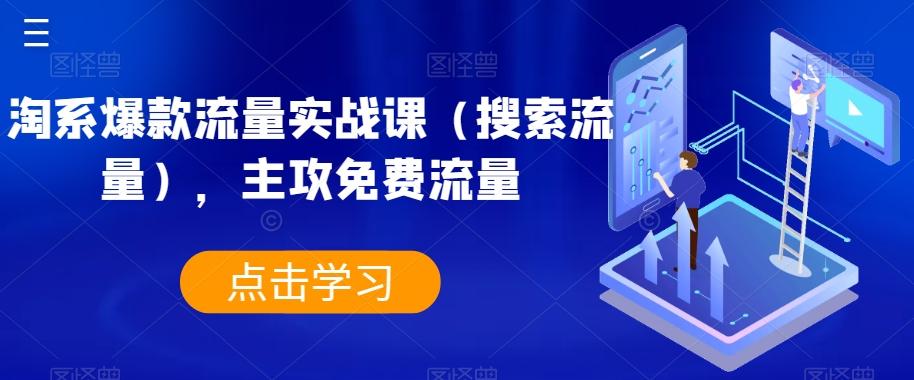 淘系爆款流量实战课（搜索流量），主攻免费流量-网创