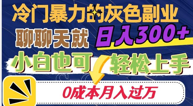 冷门暴利的副业项目，聊聊天就能日入300+，0成本月入过万【揭秘】-网创
