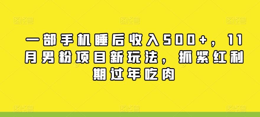 一部手机睡后收入500+，11月男粉项目新玩法，抓紧红利期过年吃肉-网创