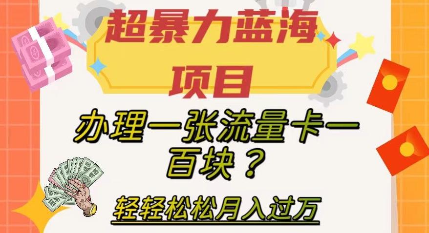 超暴力蓝海项目，办理一张流量卡一百块？轻轻松松月入过万，保姆级教程【揭秘】-网创