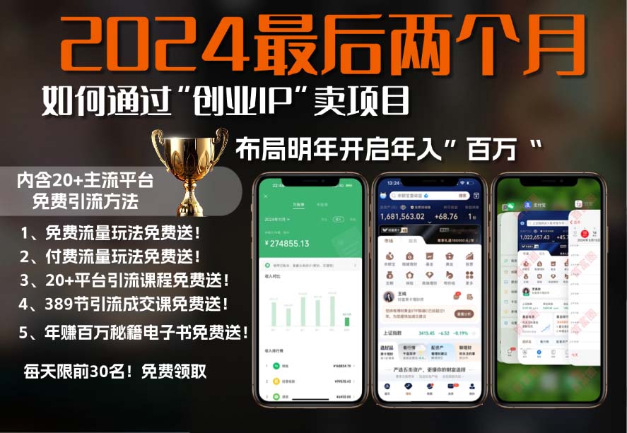 2024最后两个月如何通过”创业IP“卖项目年入”百万“,创业IP+最强引流...-网创