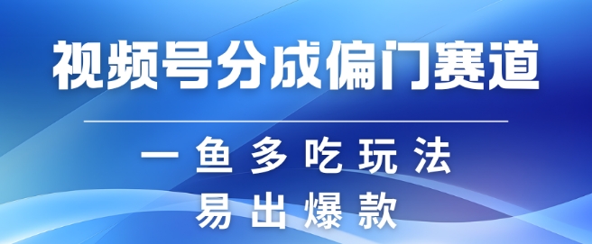 视频号创作者分成计划偏门类目，容易爆流，实拍内容简单易做【揭秘】-网创
