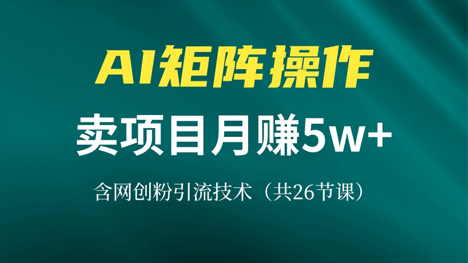 网创IP打造课，借助AI卖项目月赚5万+，含引流技术(共26节课-网创