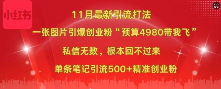 小红书11月最新图片打粉，一张图片引爆创业粉，“预算4980带我飞”，单条引流500+精准创业粉-网创