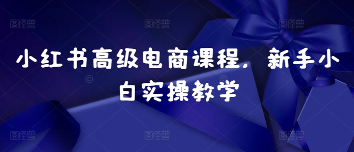 小红书高级电商课程，新手小白实操教学-网创