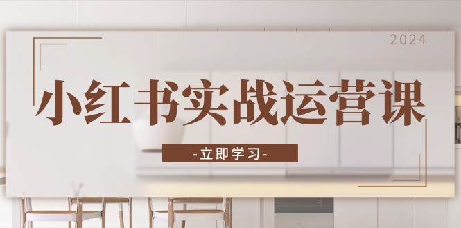小红书实战运营课：从开通店铺到直播话术，打造爆款笔记与高效直播-网创