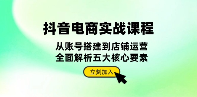 抖音 电商实战课程：从账号搭建到店铺运营，全面解析五大核心要素-网创