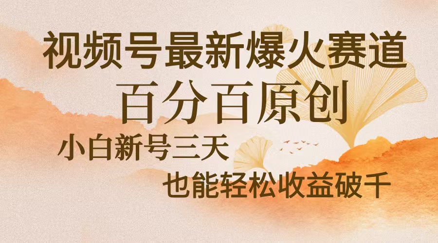 视频号最新爆火赛道，中老年粉深信不疑，百分百原创，新号三天收益轻松...-网创