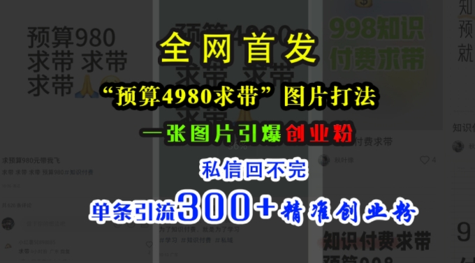 小红书“预算4980带我飞”图片打法，一张图片引爆创业粉，私信回不完，单条引流300+精准创业粉-网创