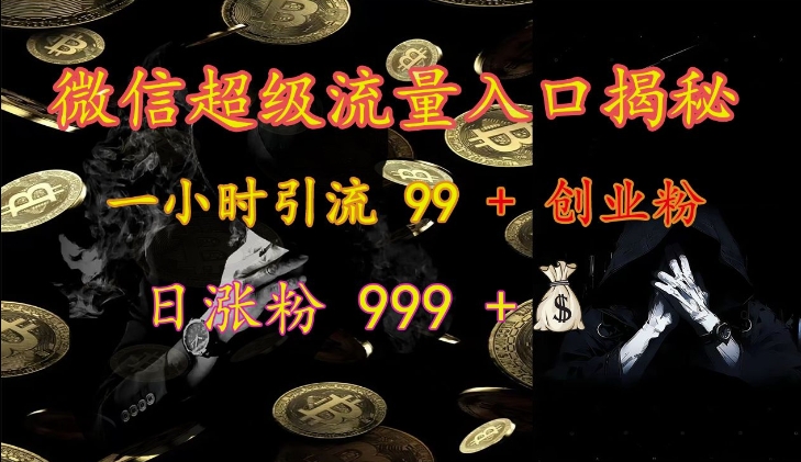 微信超级流量入口揭秘：一小时引流 99 + 创业粉，日涨粉 999 +-网创