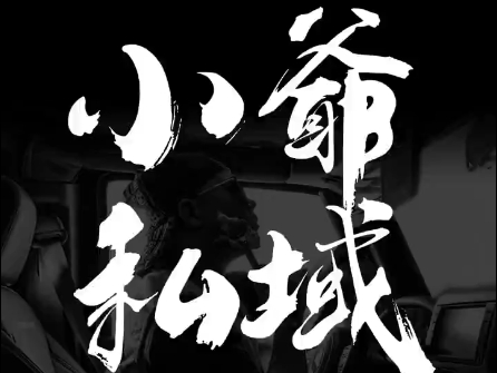 小爷·私域项目操盘手-网创