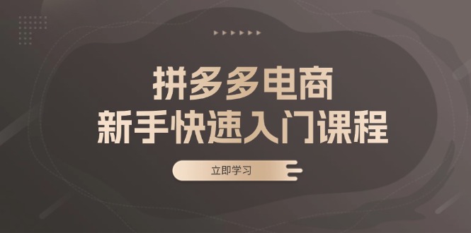 拼多多电商新手快速入门课程：涵盖基础、实战与选款，助力小白轻松上手-网创