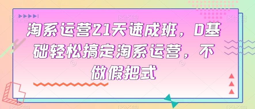 淘系运营21天速成班，0基础轻松搞定淘系运营，不做假把式-网创