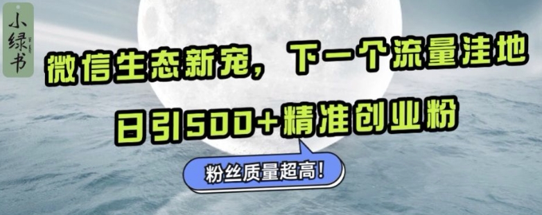 微信生态新宠小绿书：下一个流量洼地，日引500+精准创业粉，粉丝质量超高-网创
