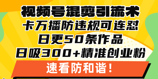 视频号混剪引流技术，500万播放引流17000创业粉，操作简单当天学会-网创