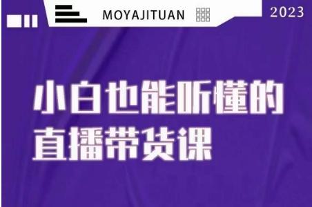 大威本威·能听懂的直播带货课，小白也能听懂，20节完整-网创