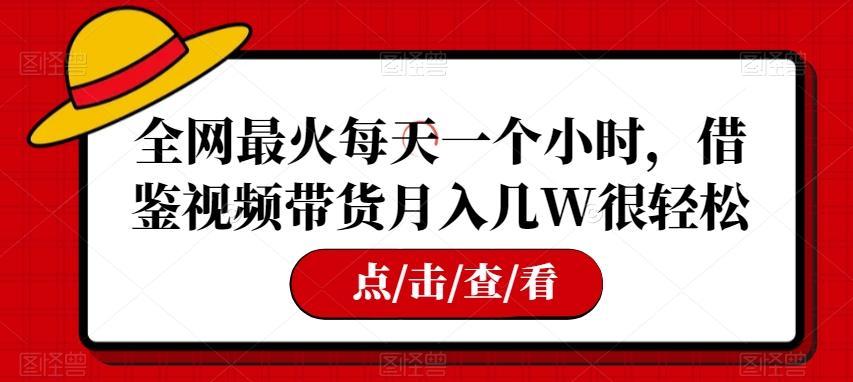 全网最火每天一个小时，借鉴视频带货月入几W很轻松【揭秘】-网创