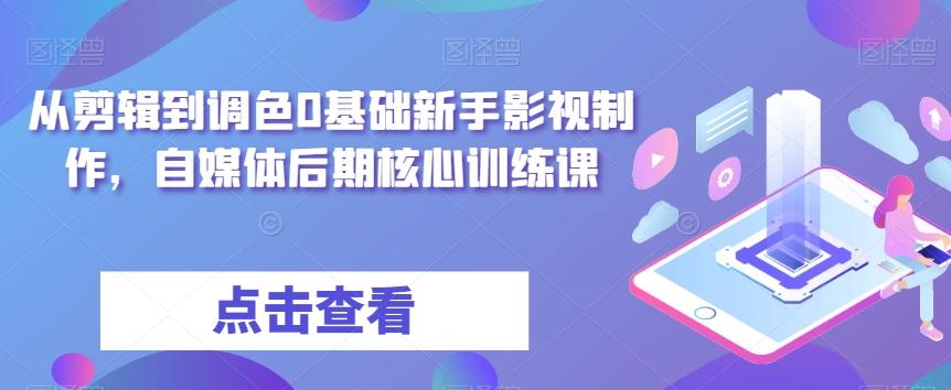 从剪辑到调色0基础新手影视制作，自媒体后期核心训练课-网创