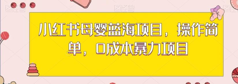 小红书母婴蓝海项目，操作简单，0成本暴力项目-网创