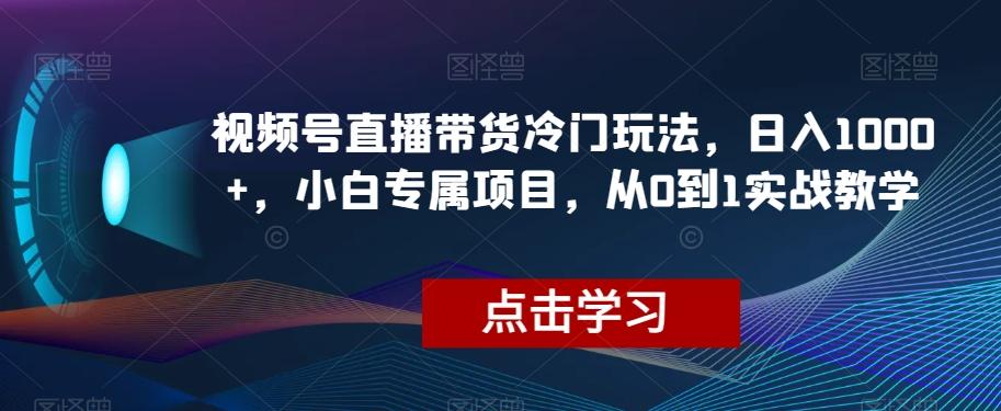 视频号直播带货冷门玩法，日入1000+，小白专属项目，从0到1实战教学【揭秘】-网创