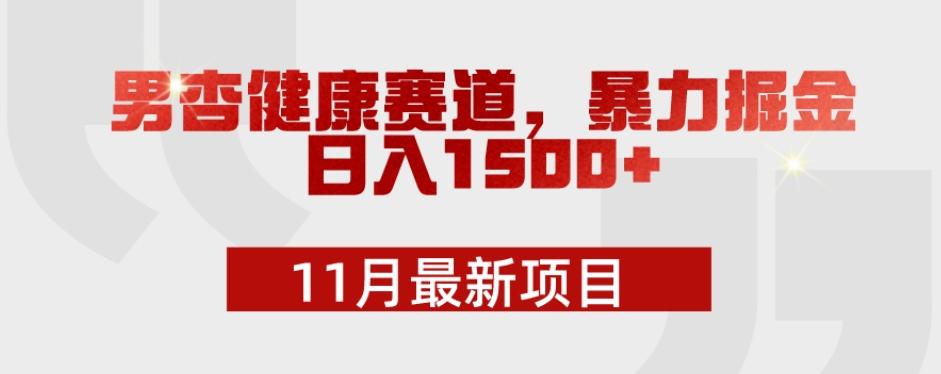 11月最新项目，男杏健康赛道，暴力掘金，日入1500+-网创