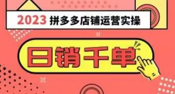2023拼多多运营实操，每天30分钟日销1000＋，爆款选品技巧大全（10节课）-网创