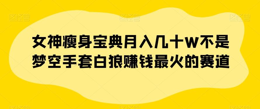 女神瘦身宝典月入几十W不是梦空手套白狼赚钱最火的赛道【揭秘】-网创