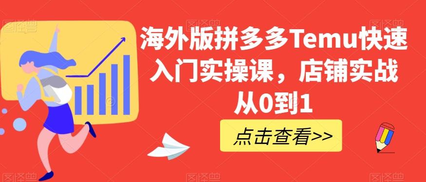 海外版拼多多Temu快速入门实操课，店铺实战从0到1-网创