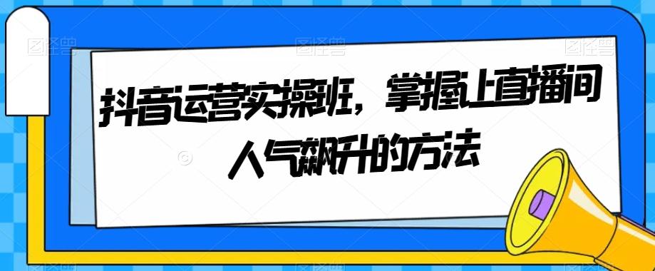 抖音运营实操班，掌握让直播间人气飙升的方法-网创