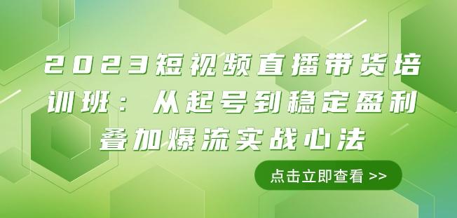 2023短视频直播带货培训班：从起号到稳定盈利叠加爆流实战心法（11节课）-网创